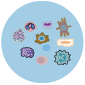 cells