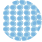 cells