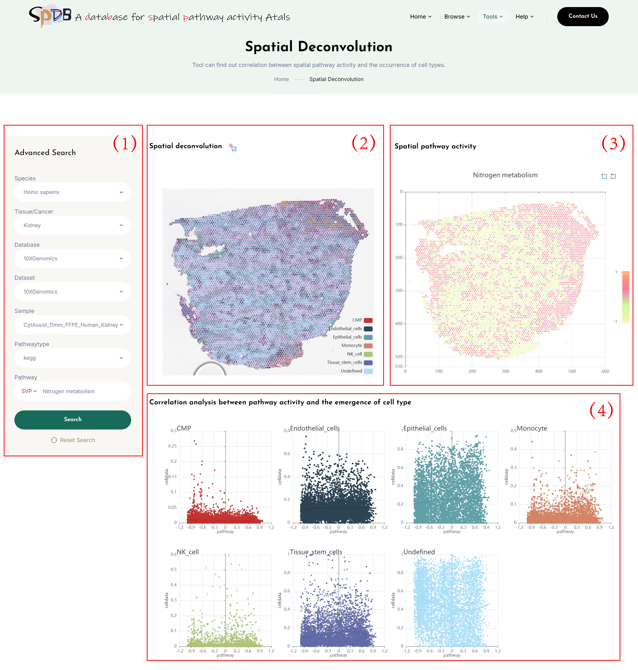 Cell-Cell Communication