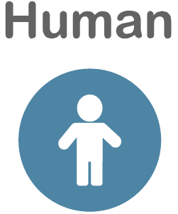 human